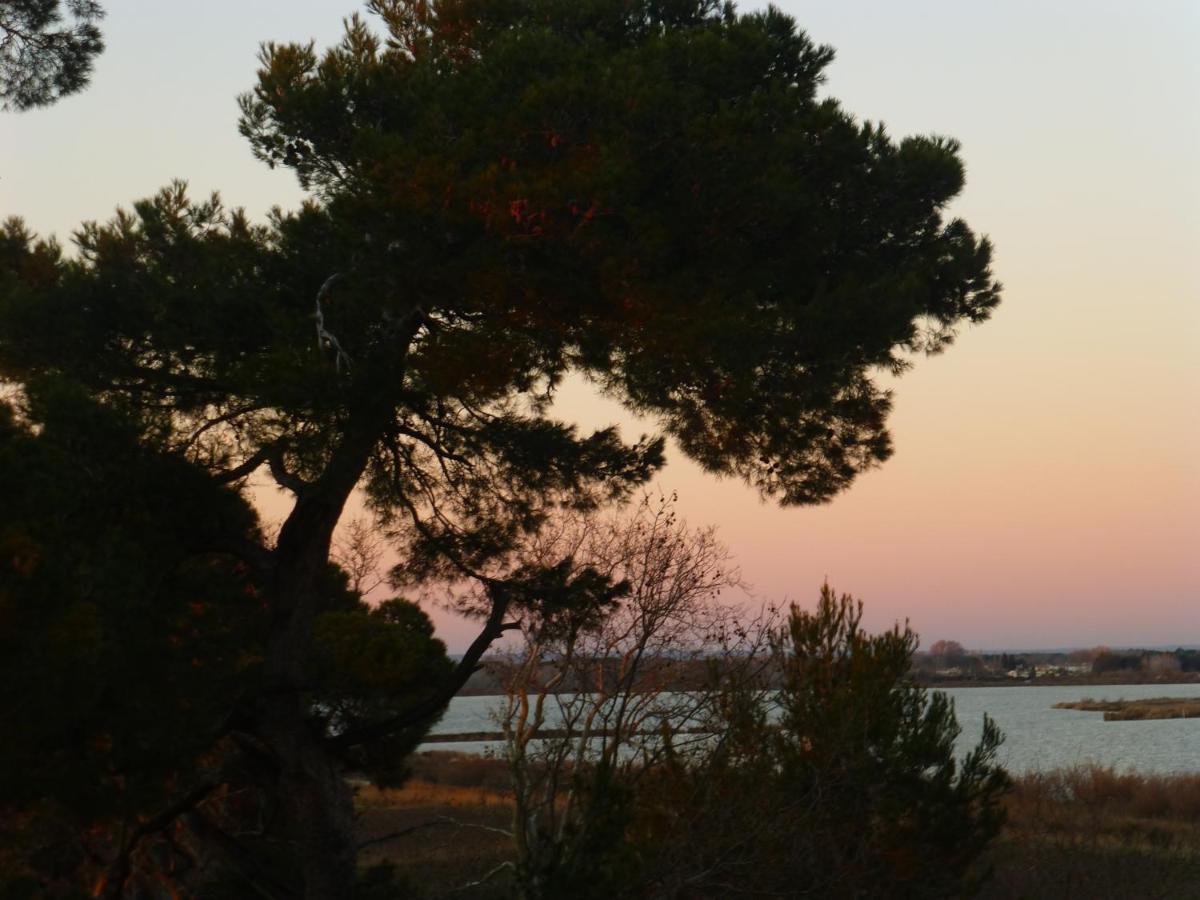 La Maison Du Mole Aigues-Mortes Bagian luar foto