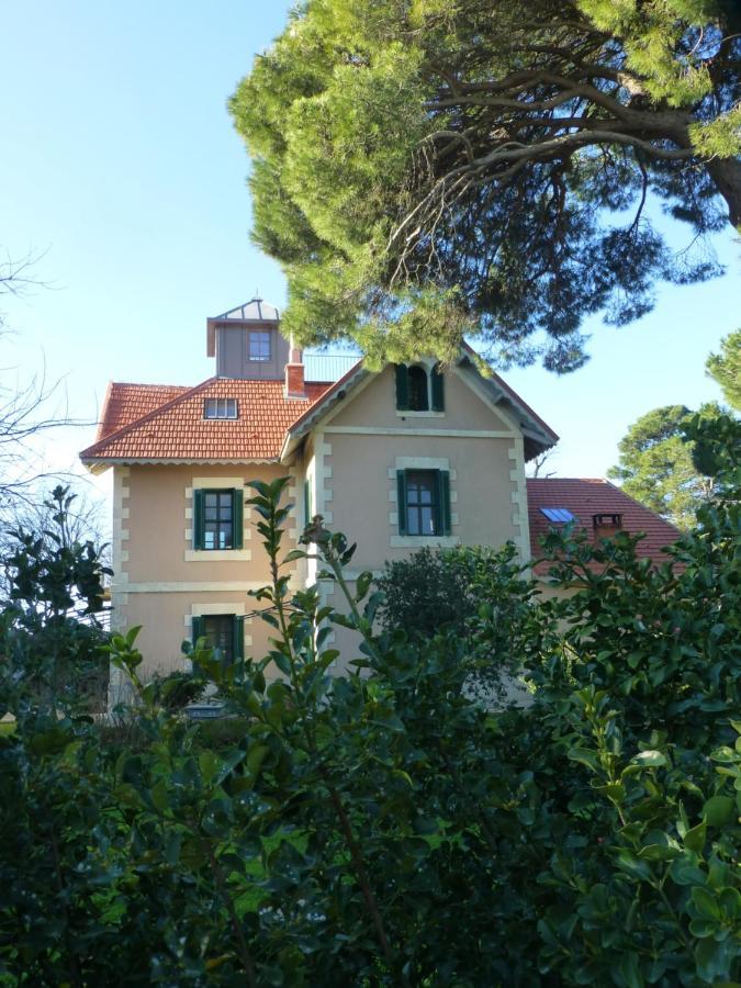 La Maison Du Mole Aigues-Mortes Bagian luar foto