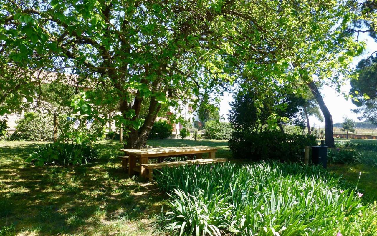 La Maison Du Mole Aigues-Mortes Bagian luar foto