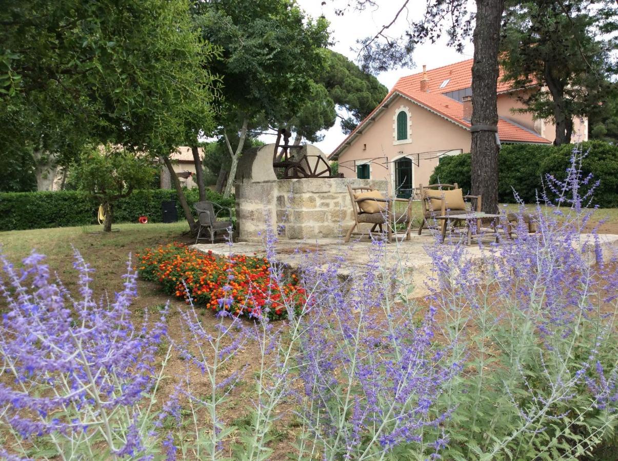 La Maison Du Mole Aigues-Mortes Bagian luar foto